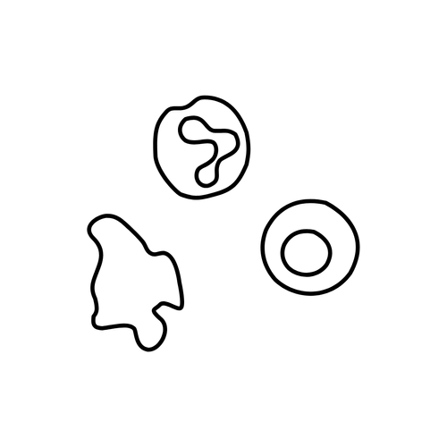 Primr signatera test